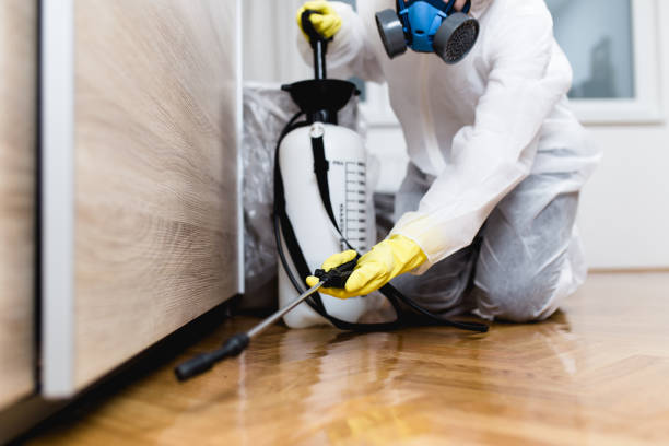 Best Wasp Removal Services  in Watertown, FL