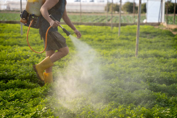 Best Best Pest Control Companies  in Watertown, FL