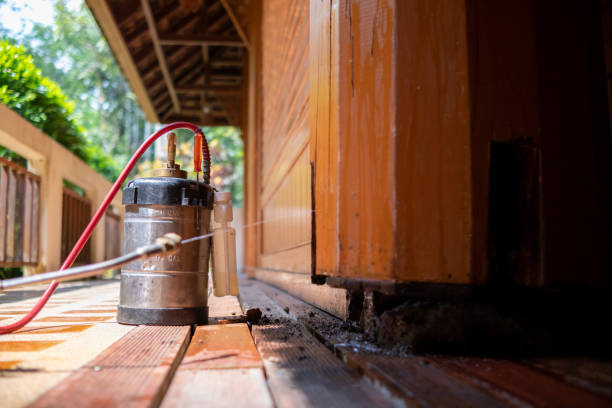Best Wasp Removal Services  in Watertown, FL