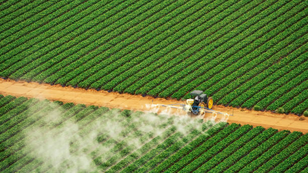 Best Insect Control  in Watertown, FL