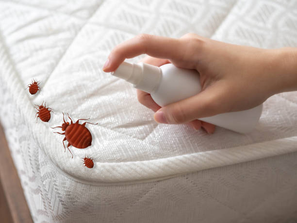 Best Pest Control Near Me  in Watertown, FL