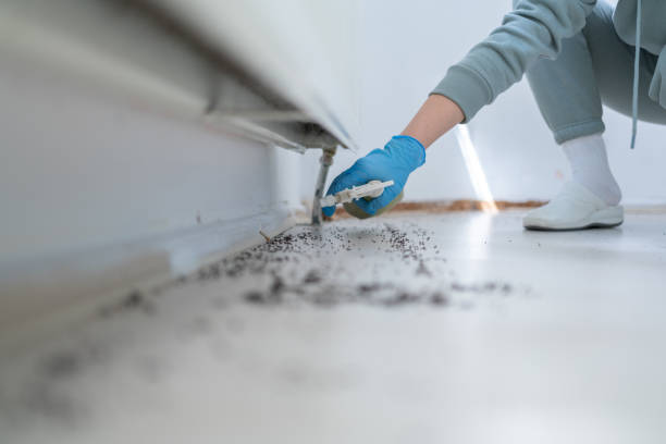 Best Pest Prevention Services  in Watertown, FL